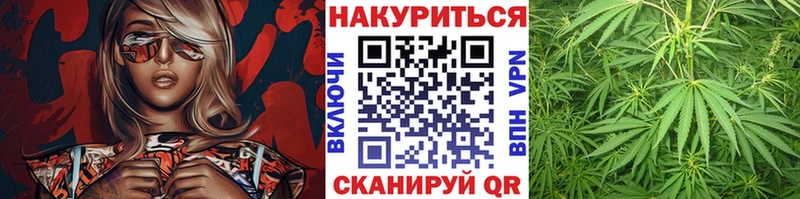 Бошки марихуана AK-47 Волжский